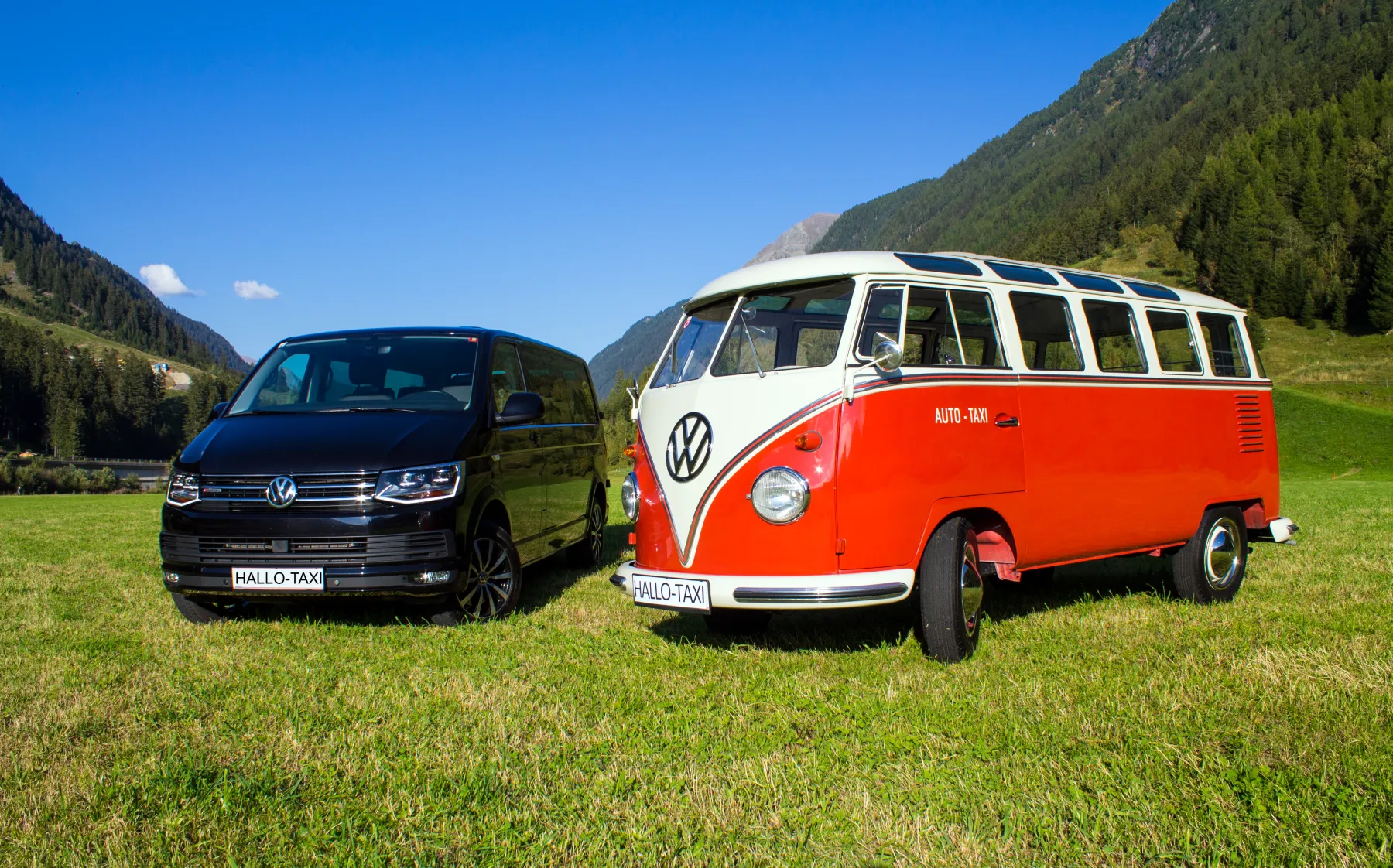 Hallo Taxi fleet: VW T6 and classic VW bus on the Arlberg